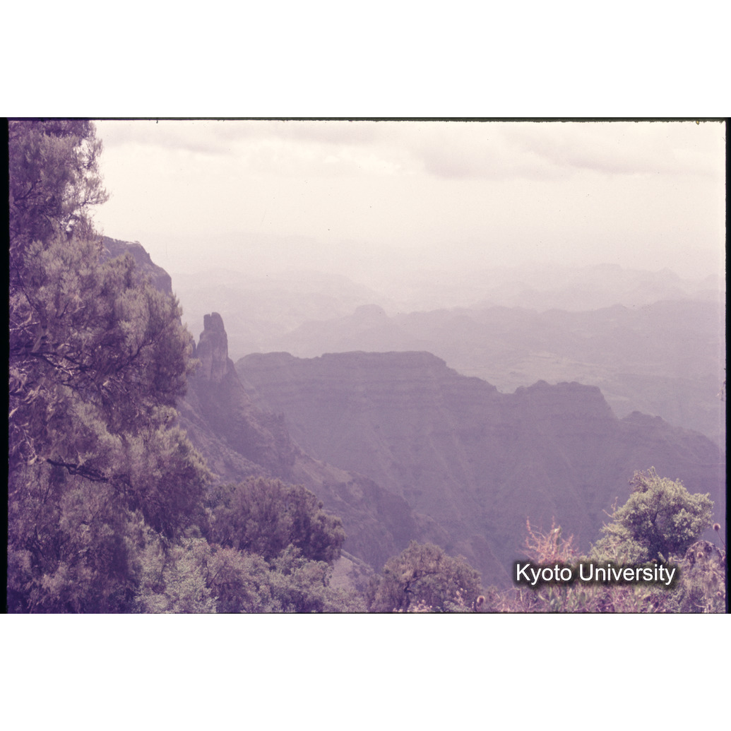 Sm　1973　1065 (1)