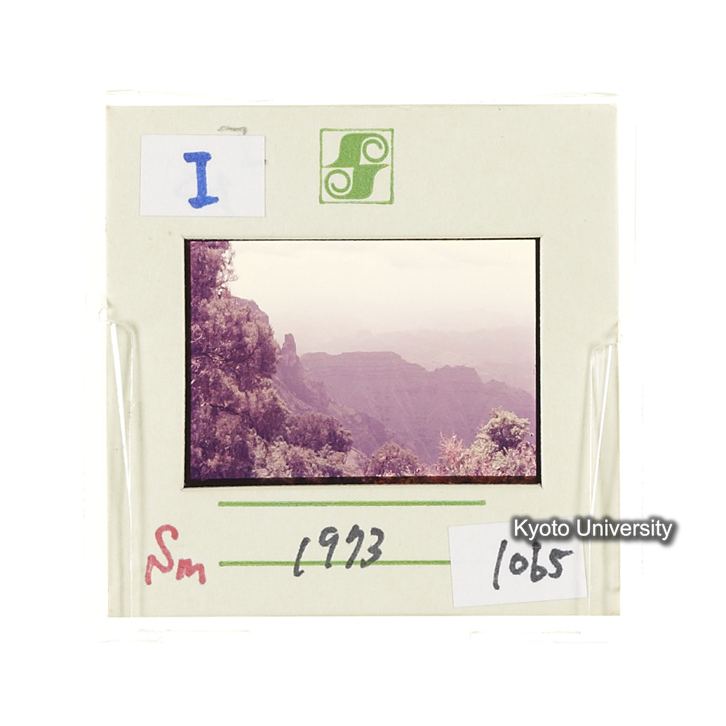 Sm　1973　1065 (2)