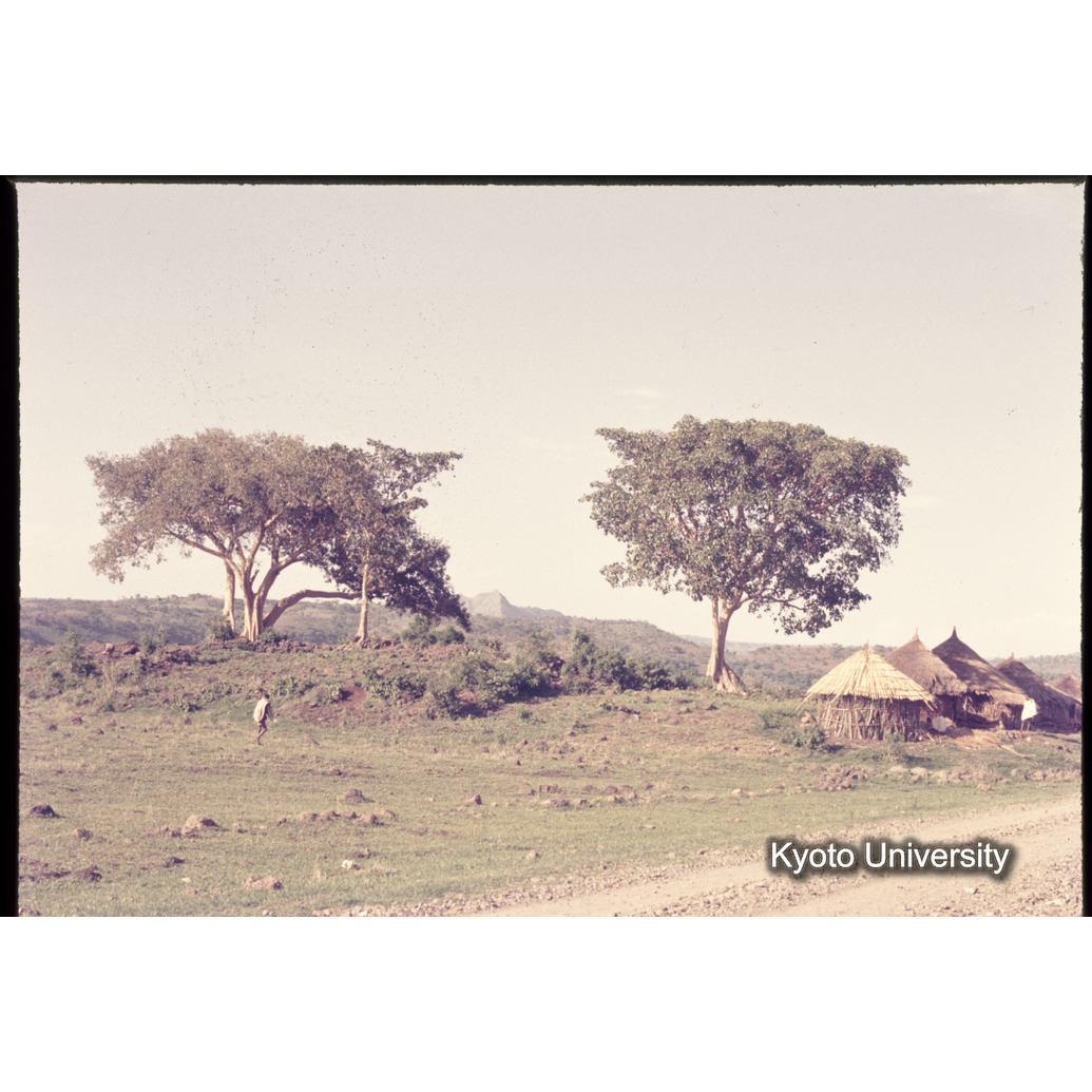 Sm　1973　1067 (1)