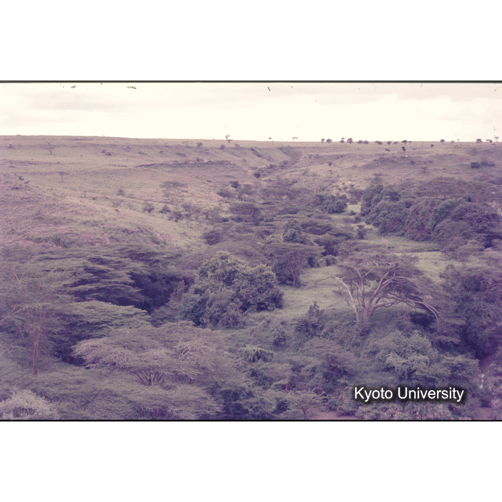 Sm　1973　1068 (1)