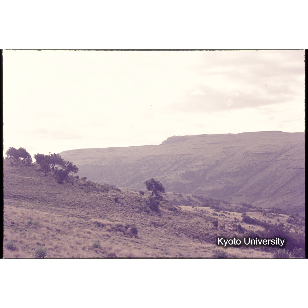 Sm　1973　1070 (1)