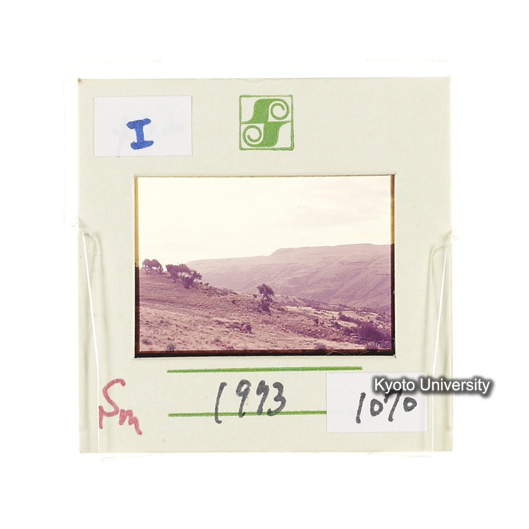 Sm　1973　1070 (2)