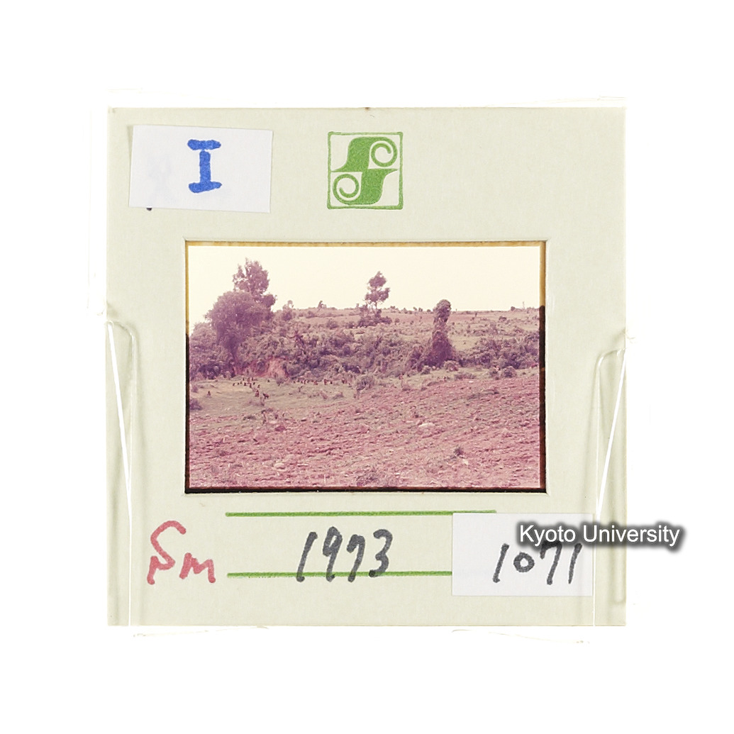 Sm　1973　1071 (2)