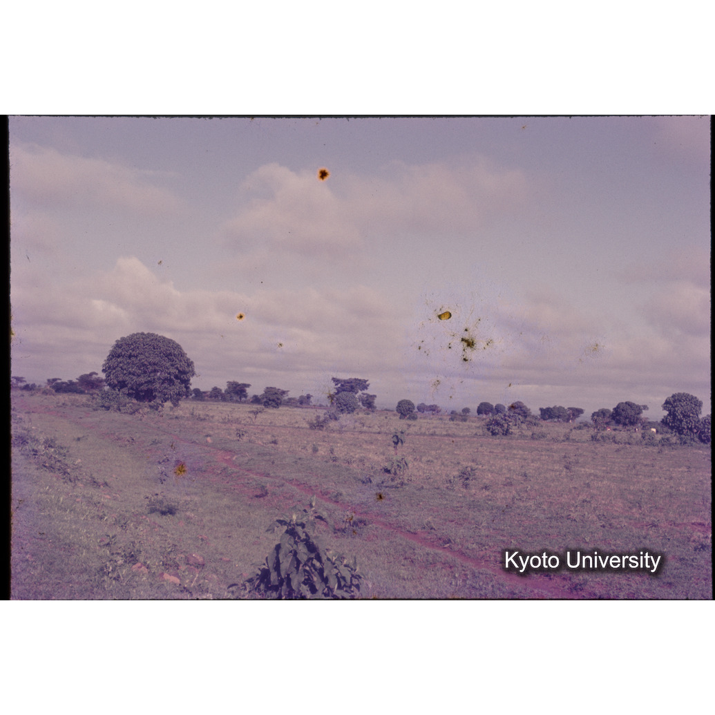 Sm　1973　1072 (1)