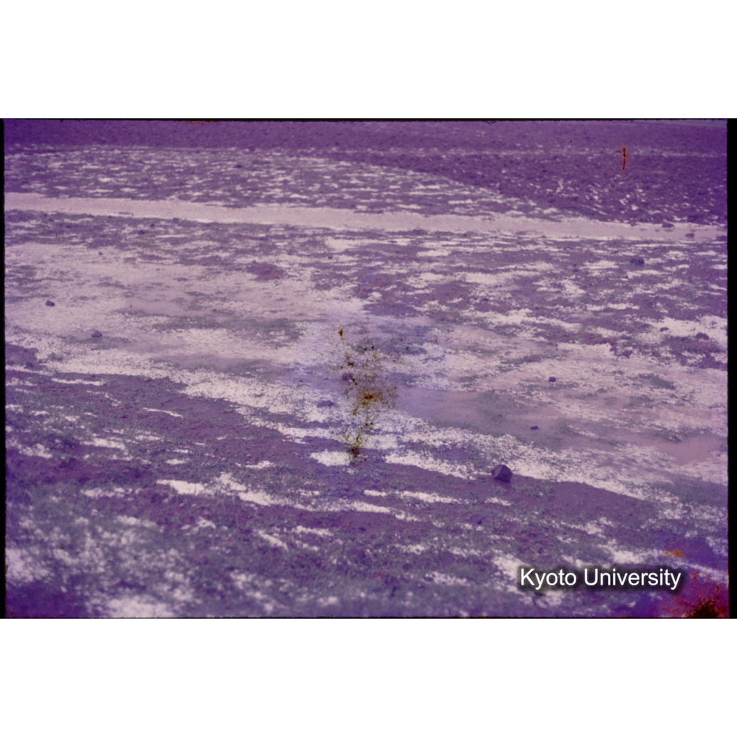 Sm　1973　1153 (1)