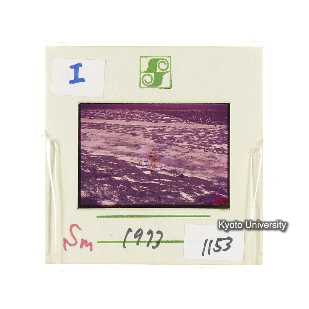 Sm　1973　1153 (2)