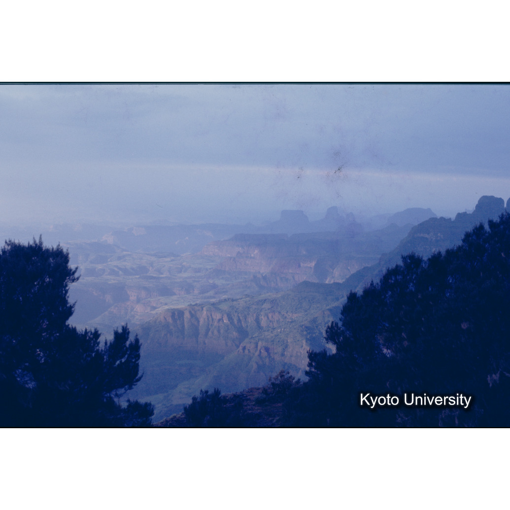 Sm　1973　1163 (1)