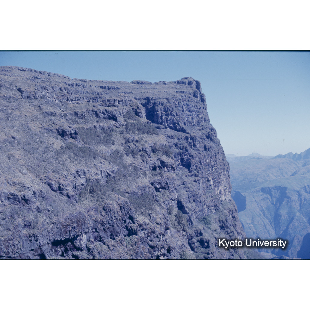 Sm　1973　1166 (1)