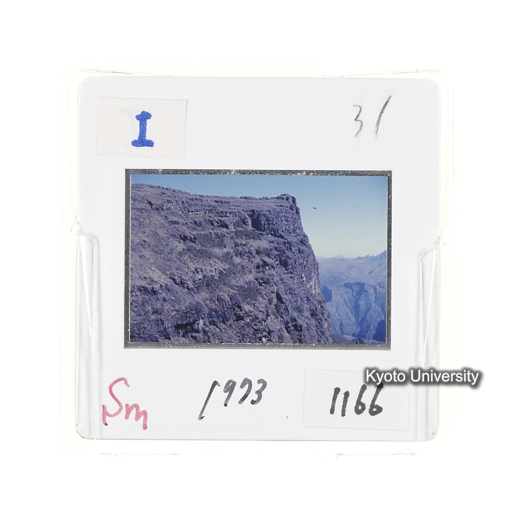 Sm　1973　1166 (2)