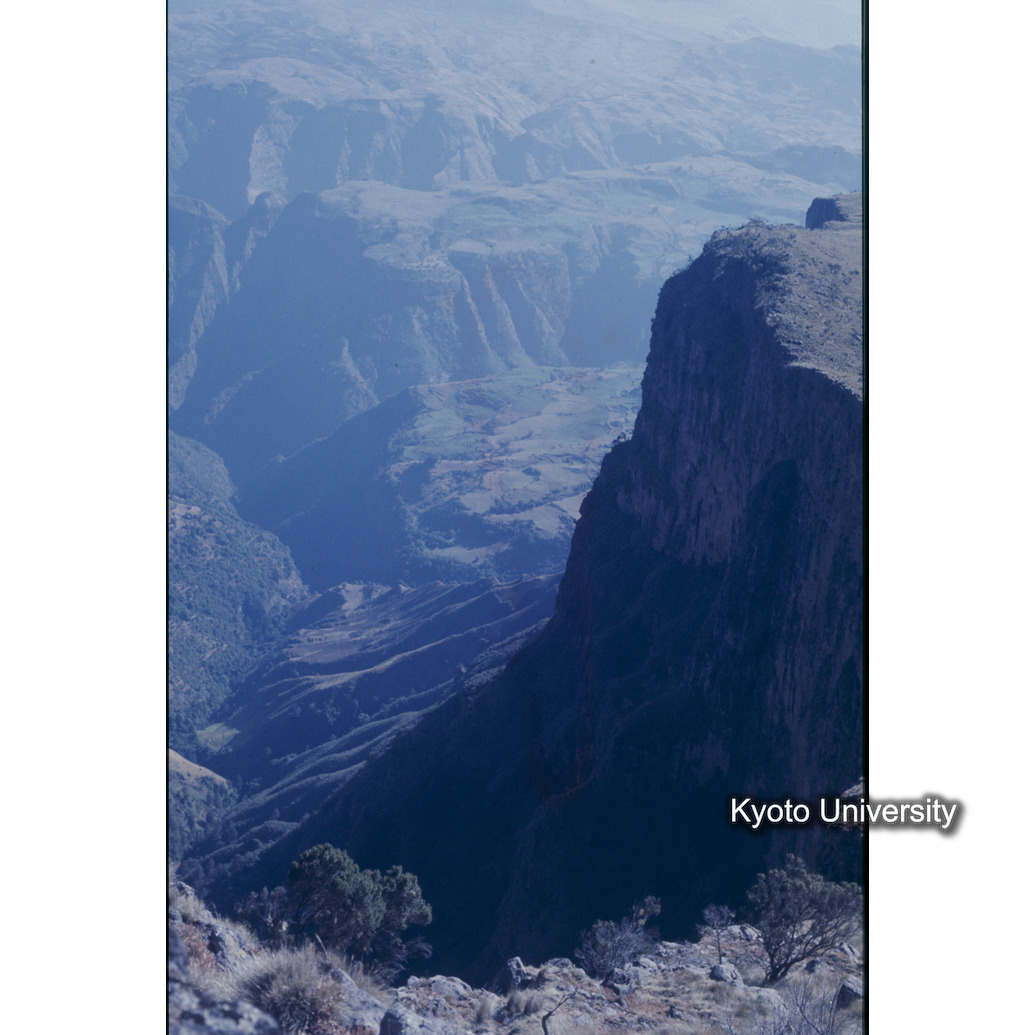 Sm　1973　1170 (1)