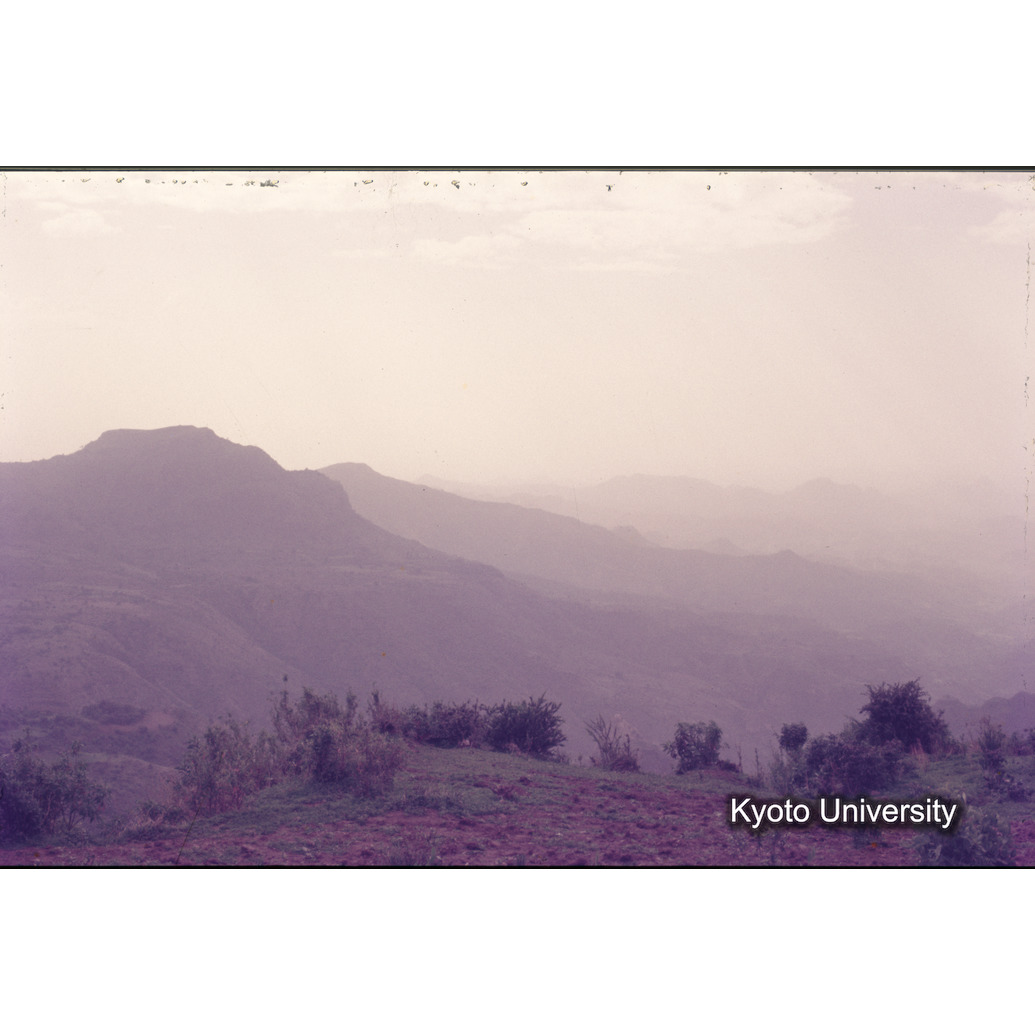 Sm　1973　1181 (1)