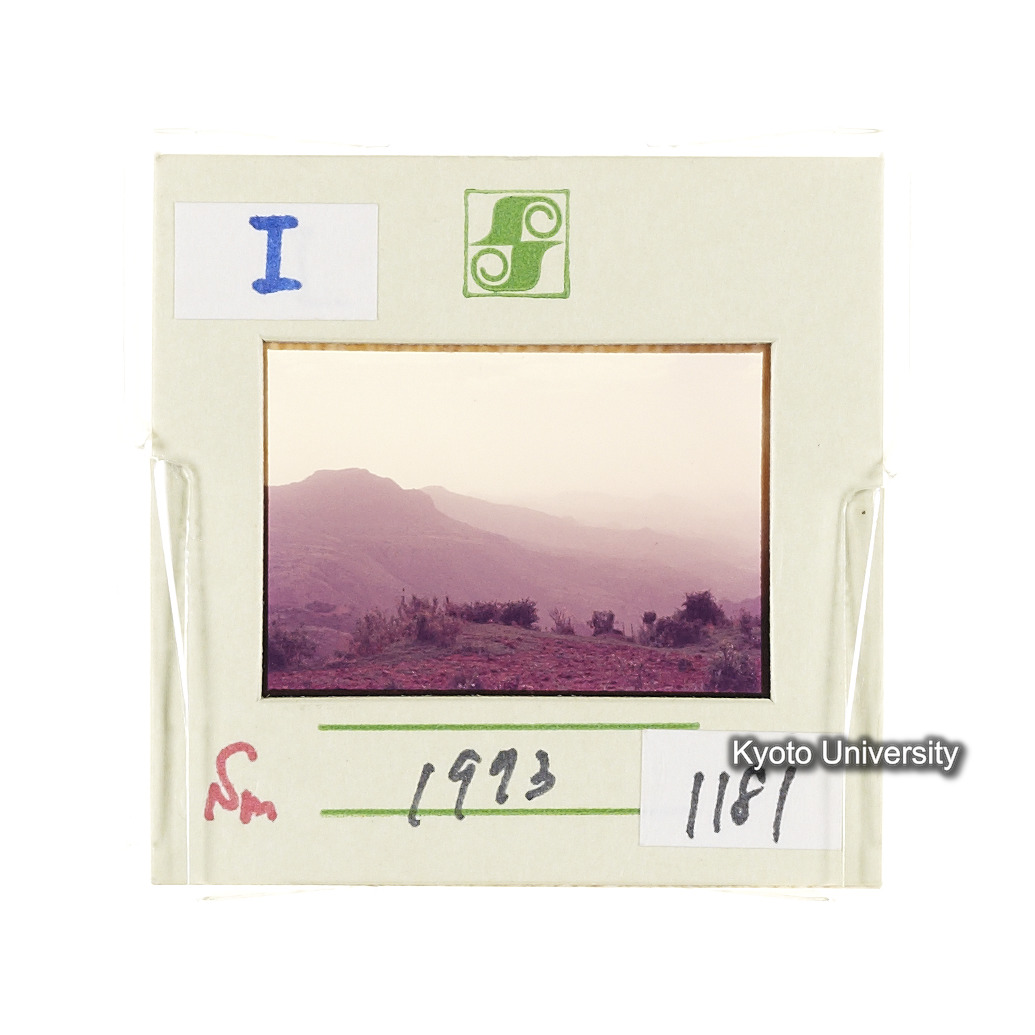 Sm　1973　1181 (2)