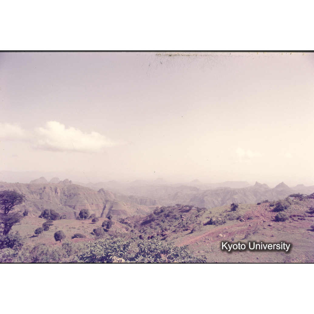 Sm　1973　1194 (1)