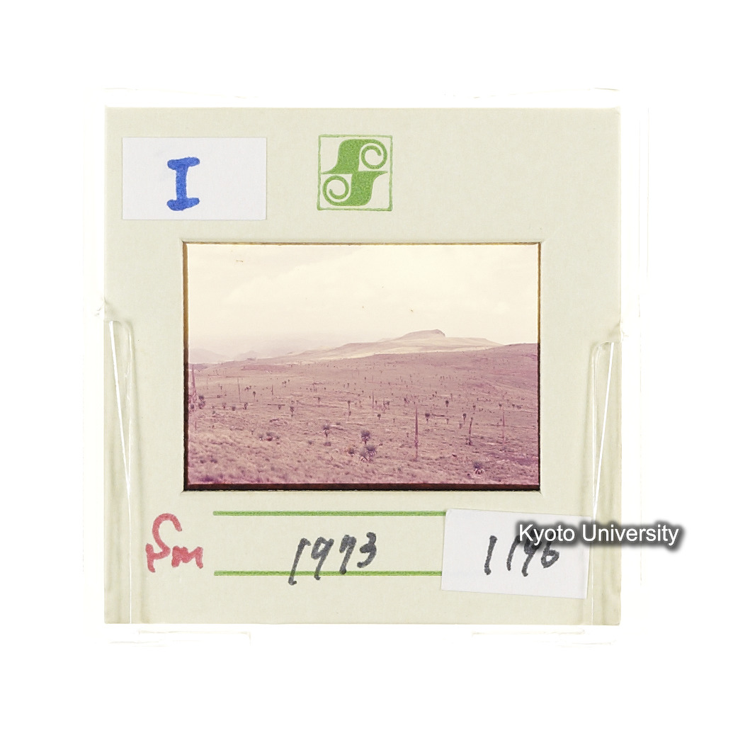 Sm　1973　1196 (2)