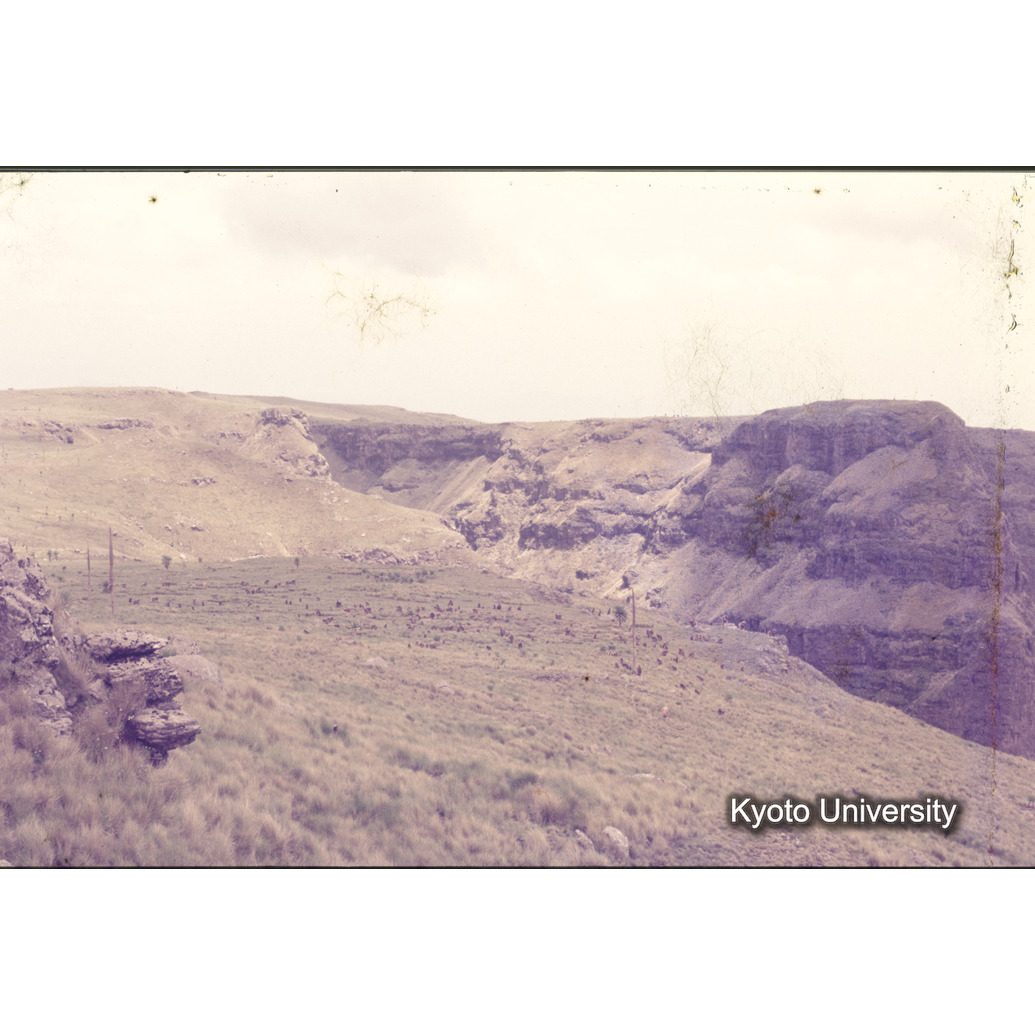 Sm　1973　1205 (1)