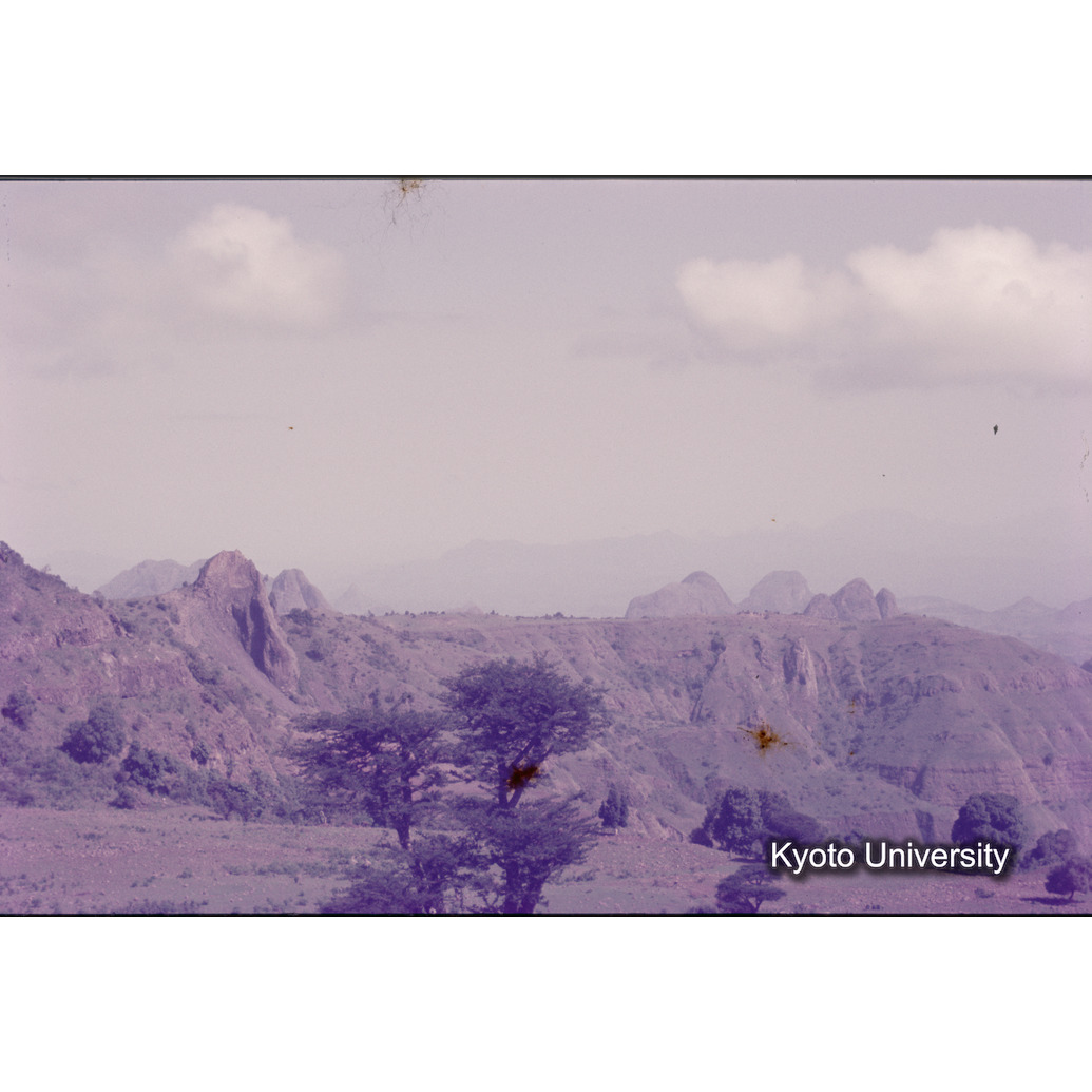 Sm　1973　1206 (1)