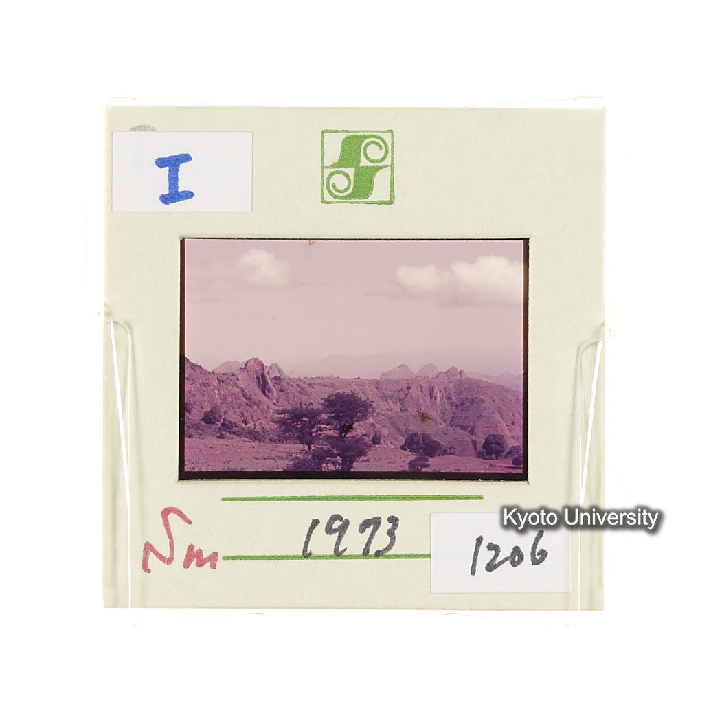 Sm　1973　1206 (2)