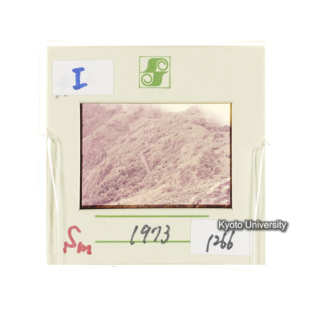 Sm　1973　1266 (2)