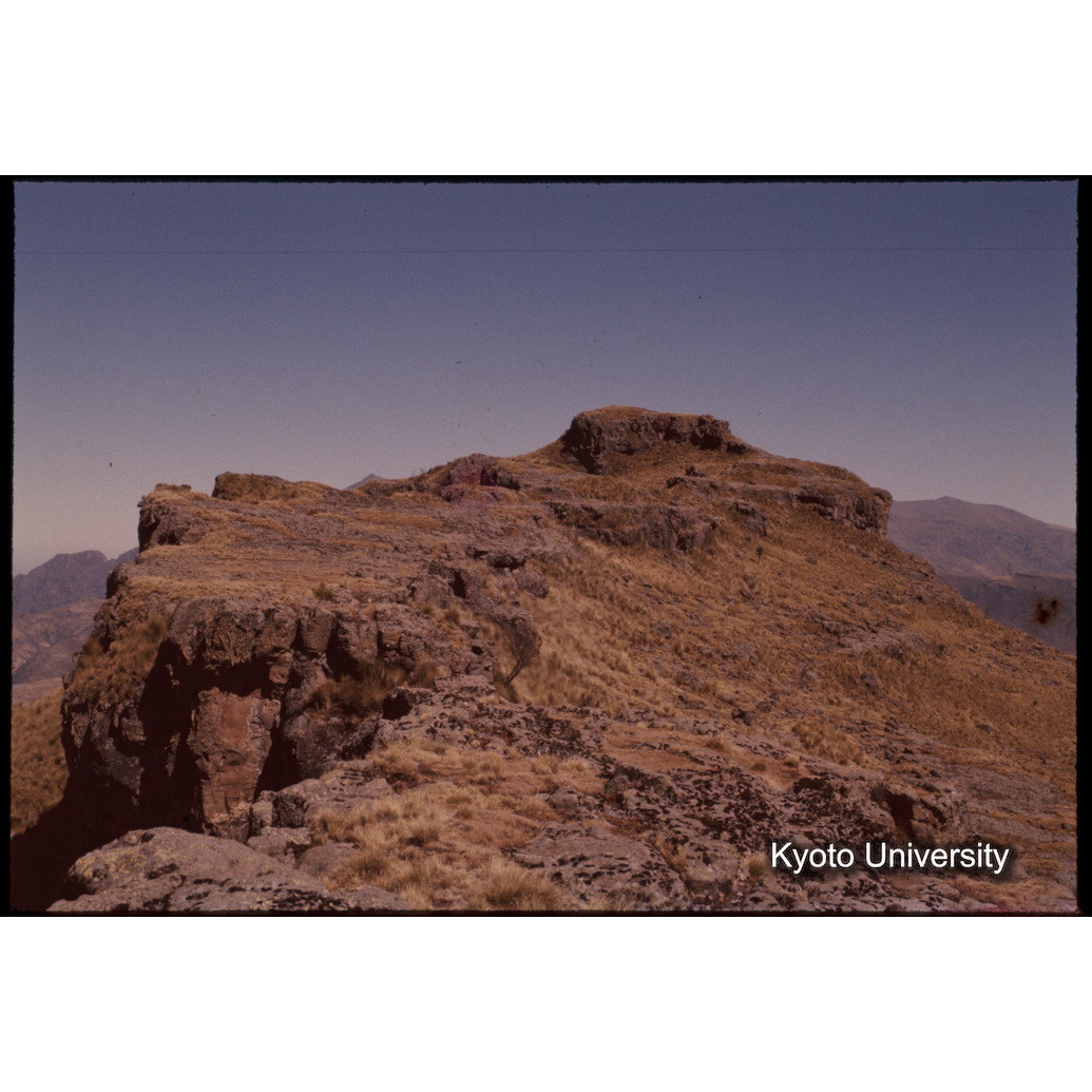 Sm　1973　1380 (1)