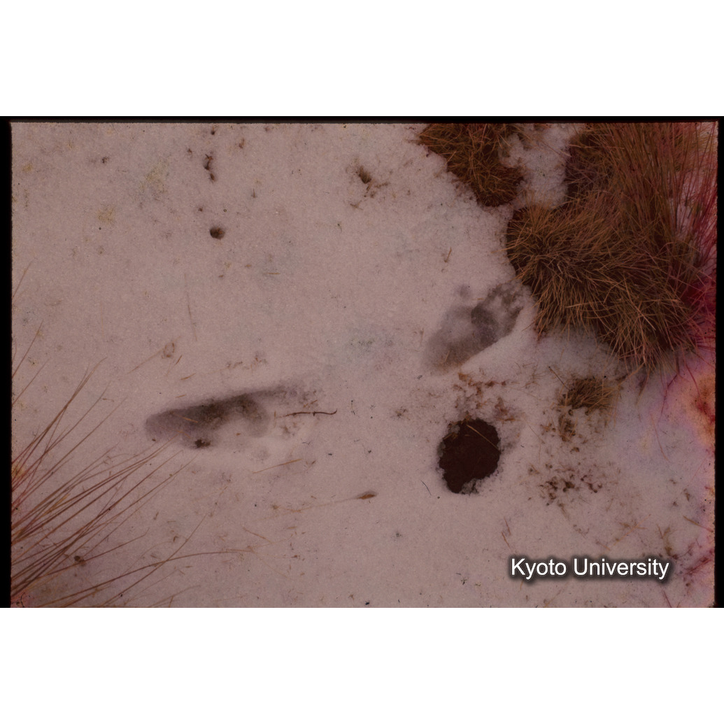 Sm　1973　1388 (1)