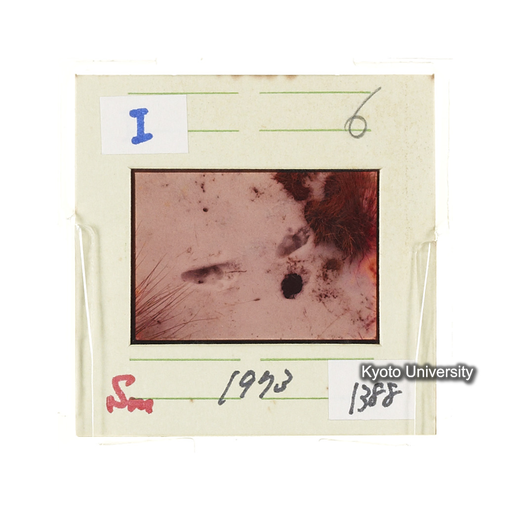 Sm　1973　1388 (2)