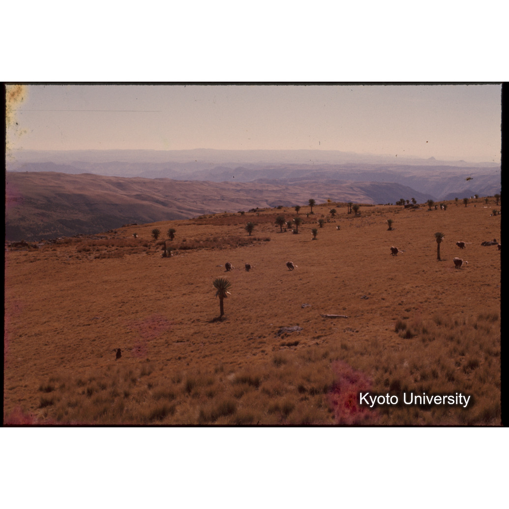 Sm　1973　1389 (1)