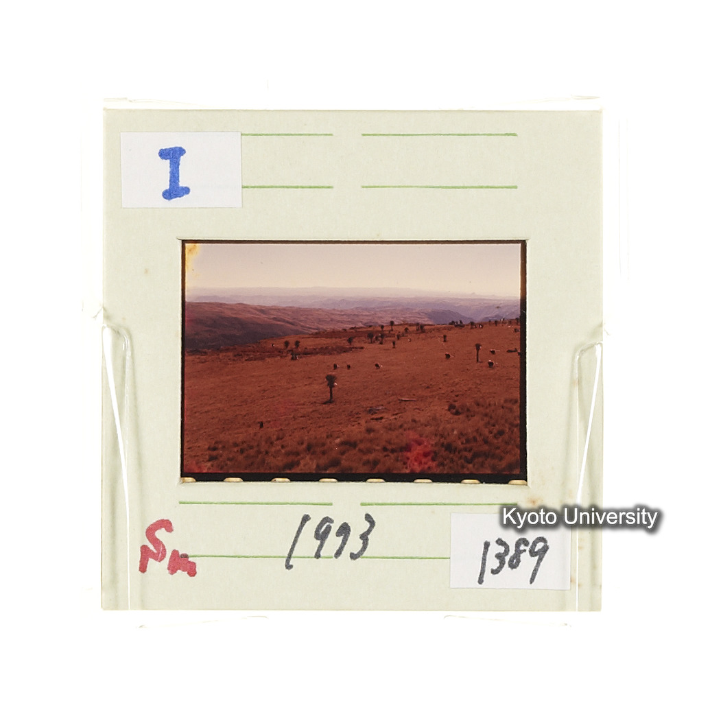 Sm　1973　1389 (2)