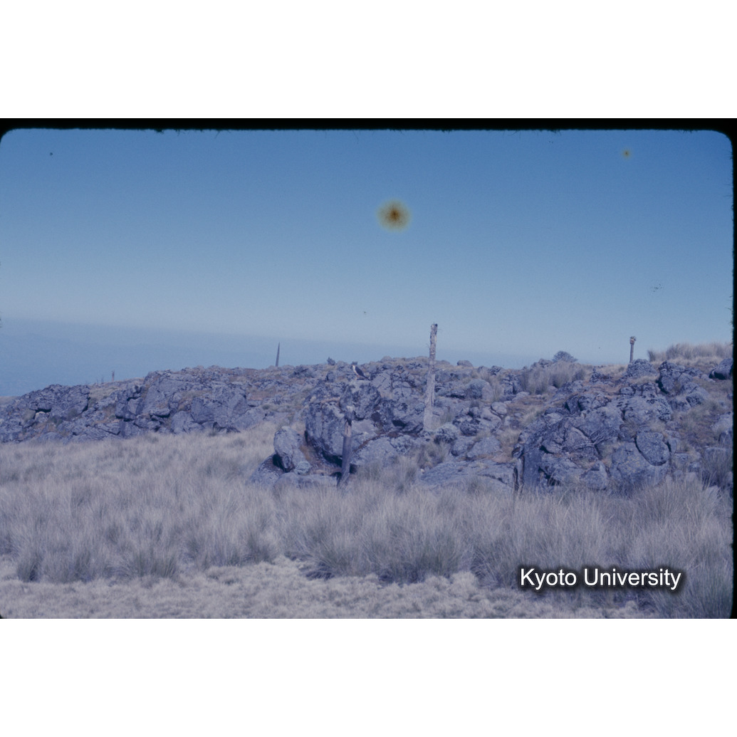 Sm　1973　1442 (1)