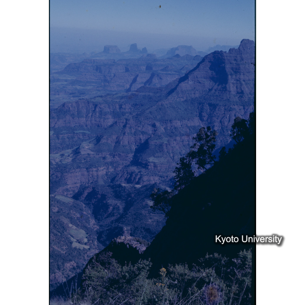 Sm　1973　1443 (1)