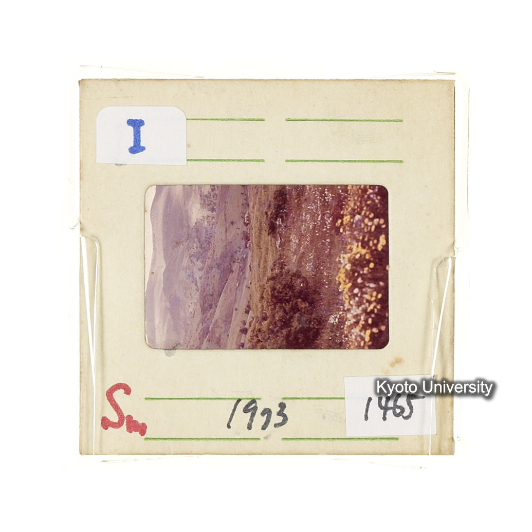 Sm　1973　1465 (2)