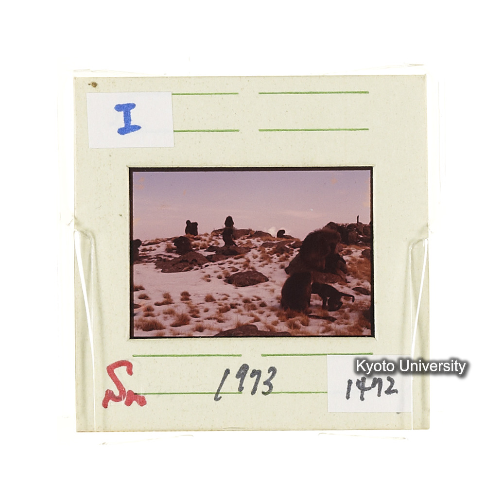 Sm　1973　1472 (2)