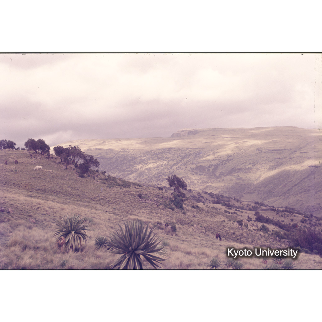 Sm　1973　1505 (1)