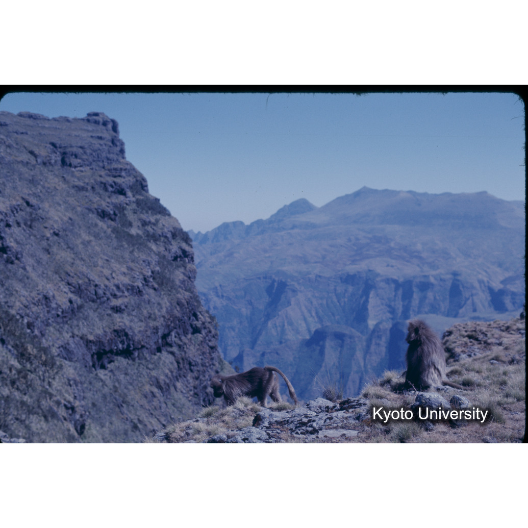 Sm　1973　23　（N）[赤色, 丸囲み] (1)