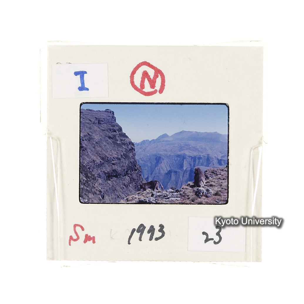 Sm　1973　23　（N）[赤色, 丸囲み] (2)