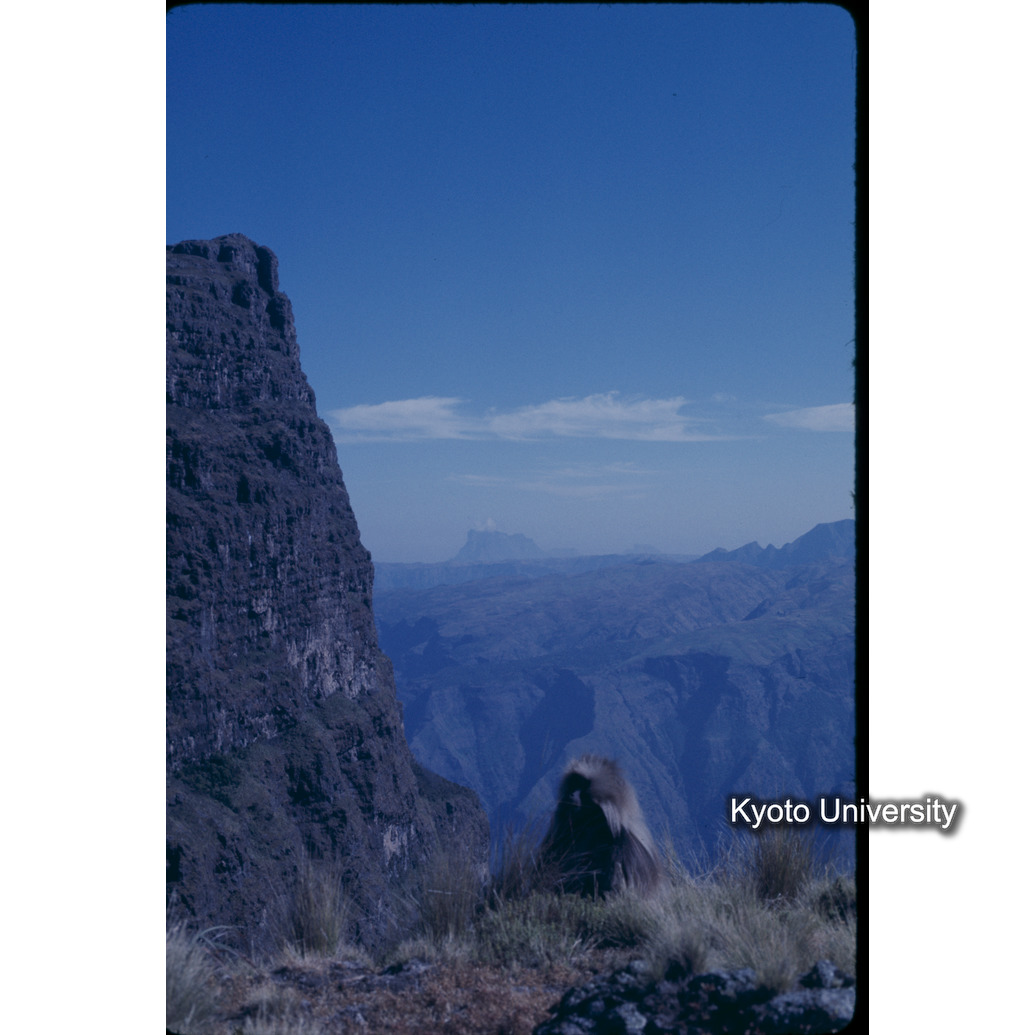 Sm　1973　24　（N）[赤色, 丸囲み] (1)