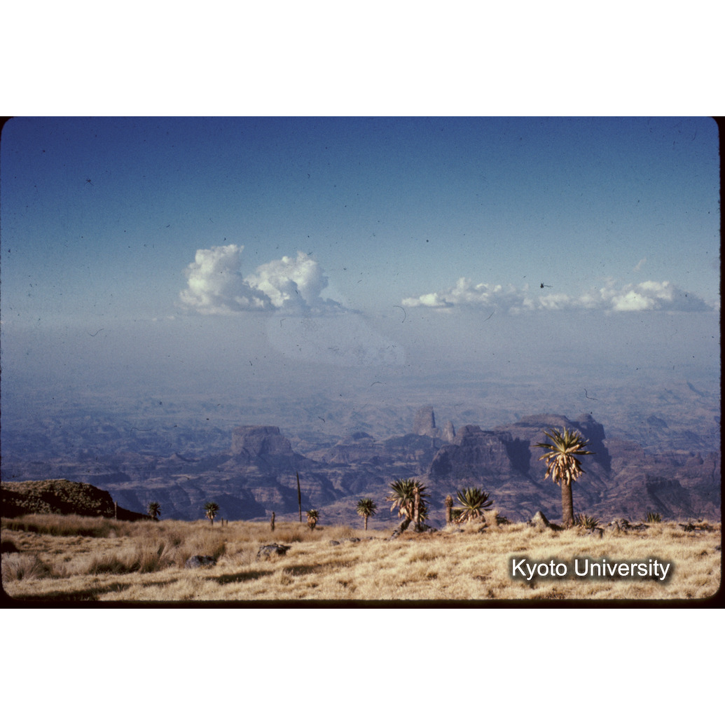 Sm　1973　37　（N）[赤色, 丸囲み] (1)