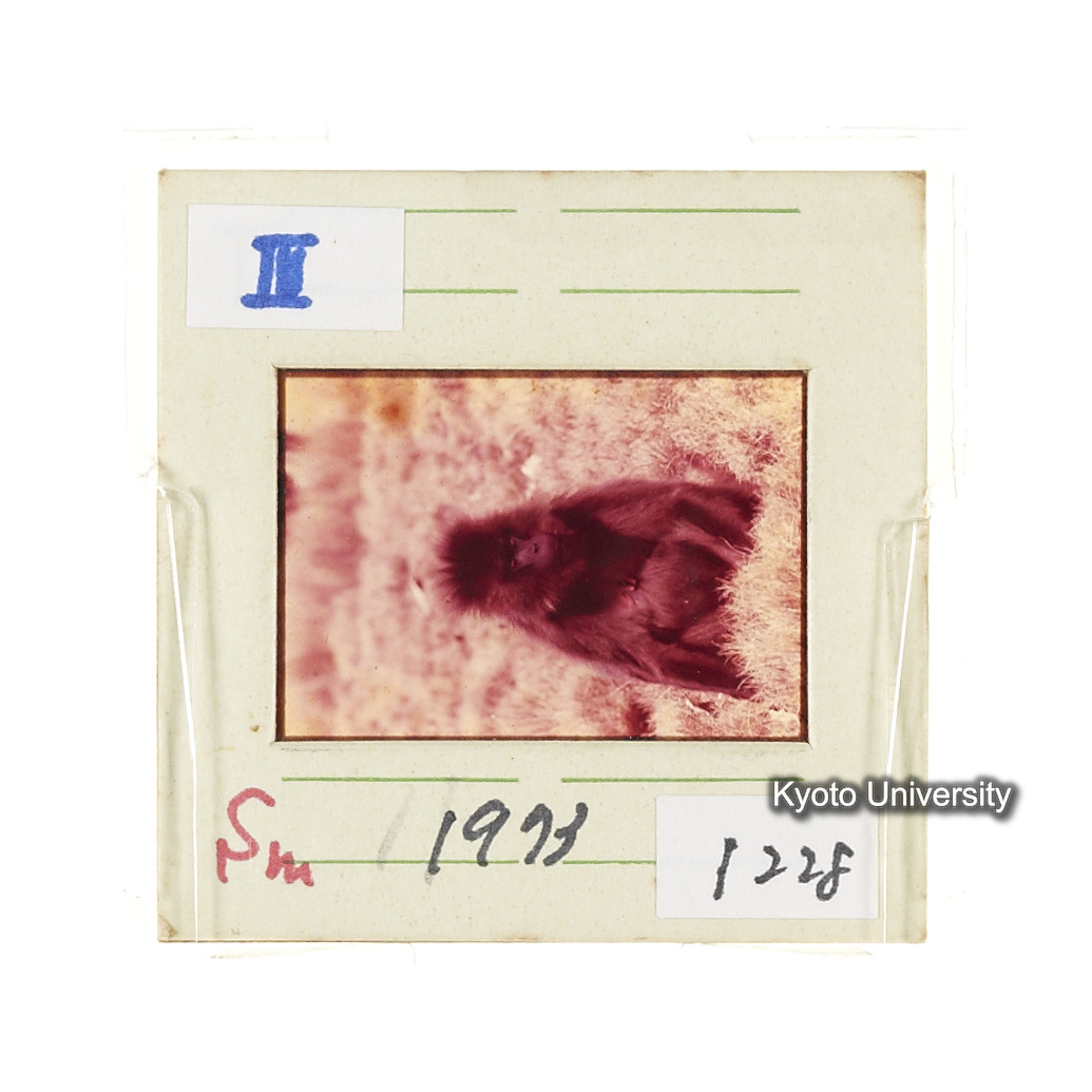 Sm　1973　1228 (2)