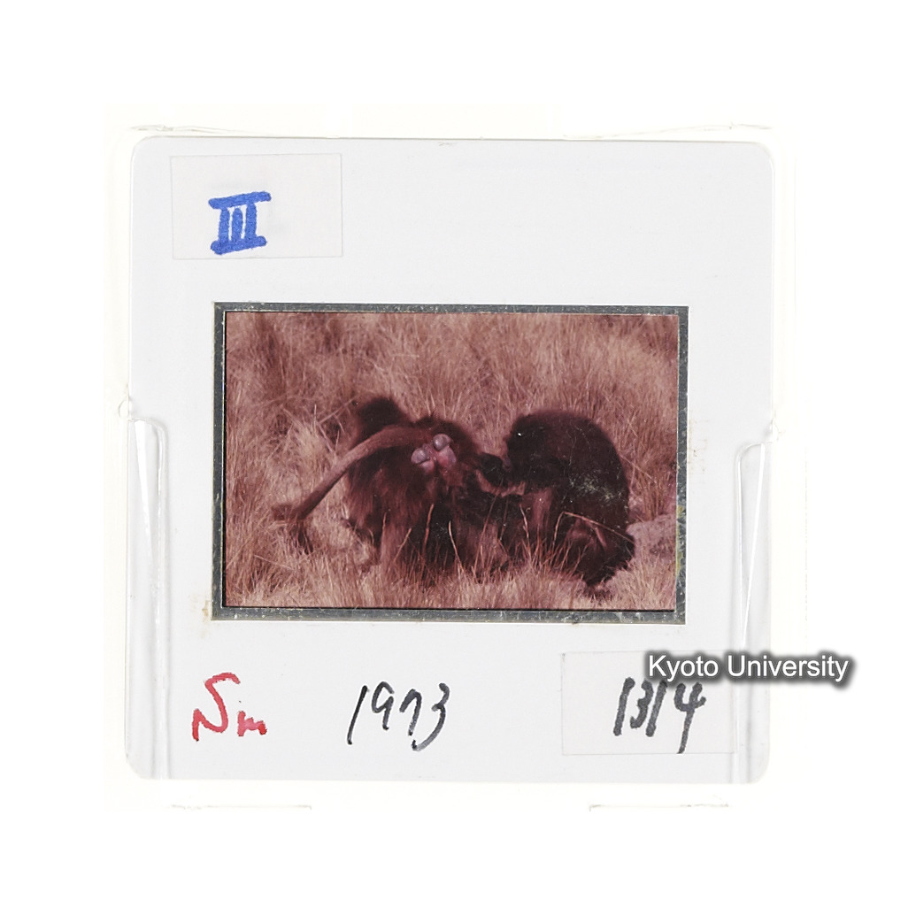 Sm　1973　1314 (2)