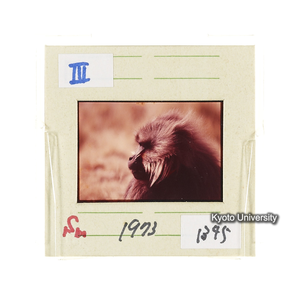 Sm　1973　1345 (2)