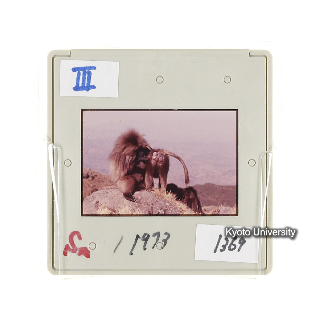 Sm　1973　1369 (2)