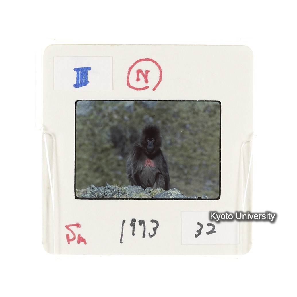 Sm　1973　32　（N）[赤色, 丸囲み] (2)