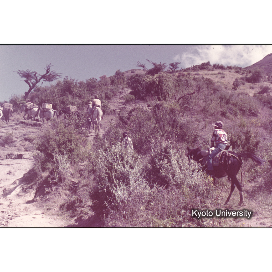 Sm　1973　1083 (1)