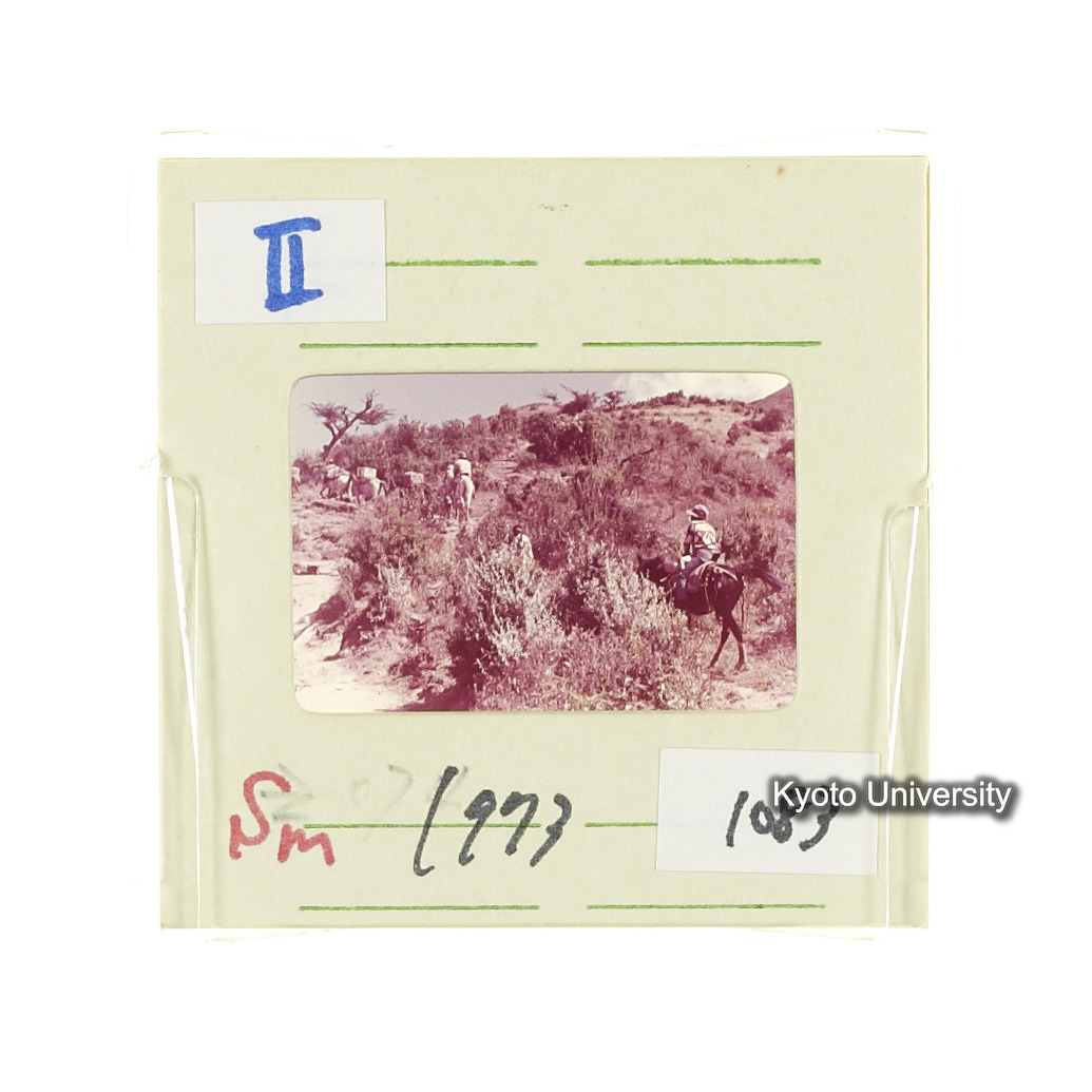 Sm　1973　1083 (2)