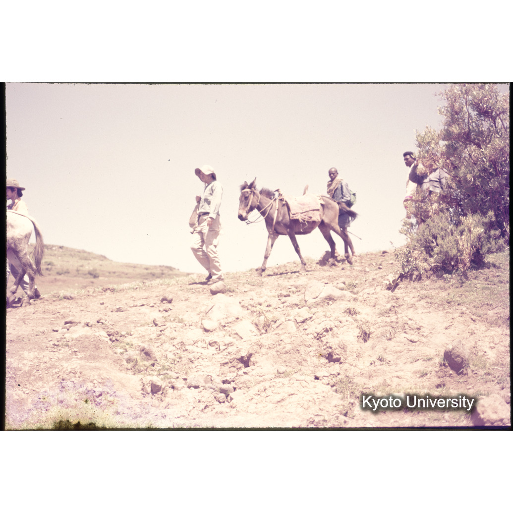 Sm　1973　1085 (1)