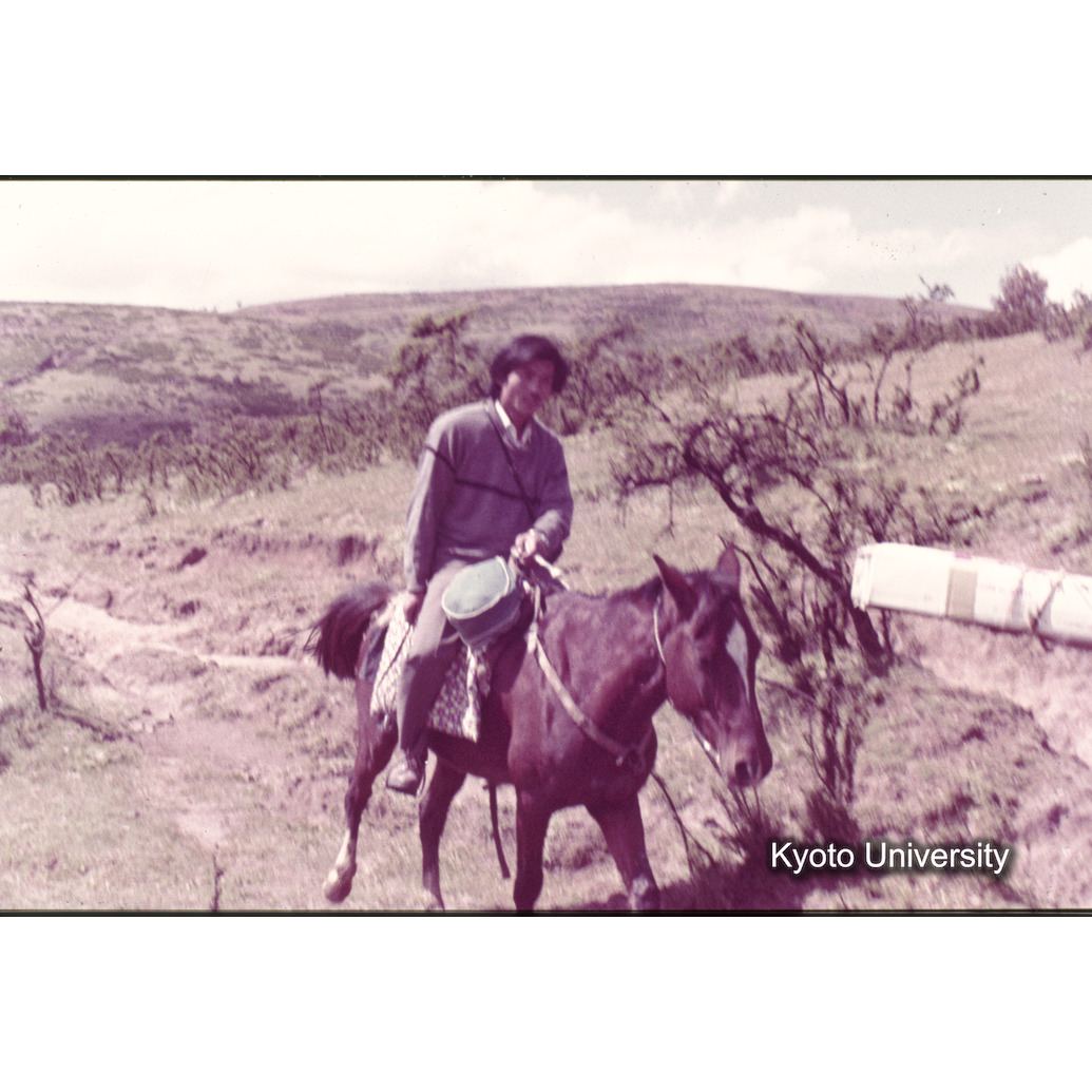 Sm　1973　1086 (1)