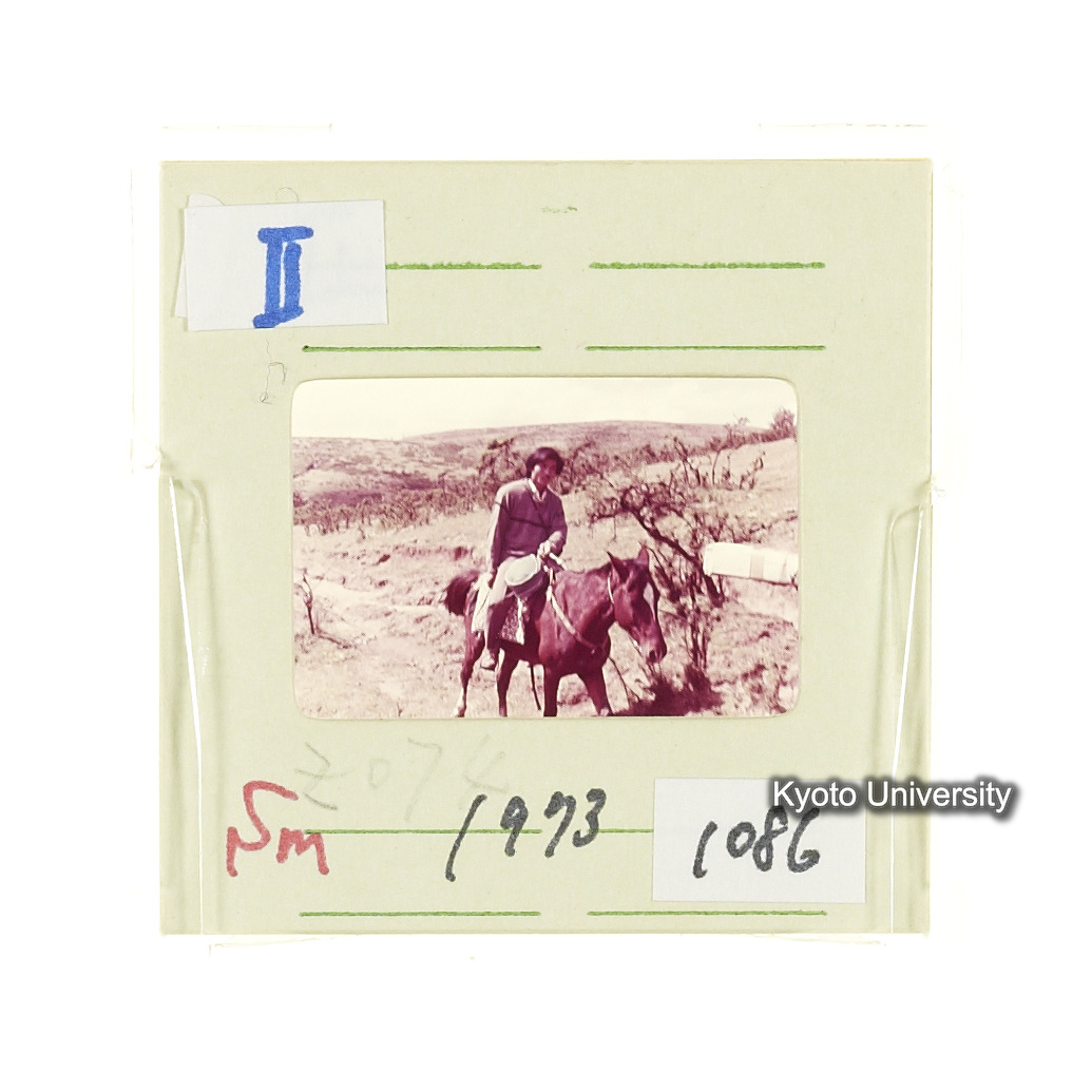 Sm　1973　1086 (2)