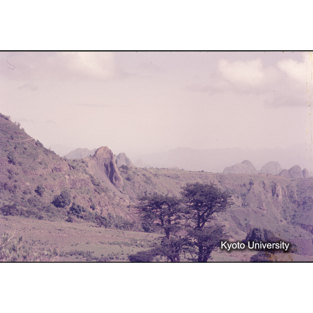 Sm　1973　1094 (1)