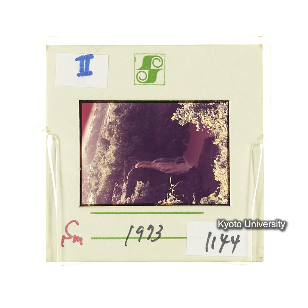 Sm　1973　1144 (2)