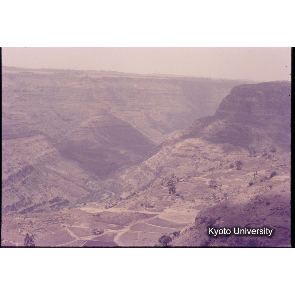 Sm　1973　1145 (1)