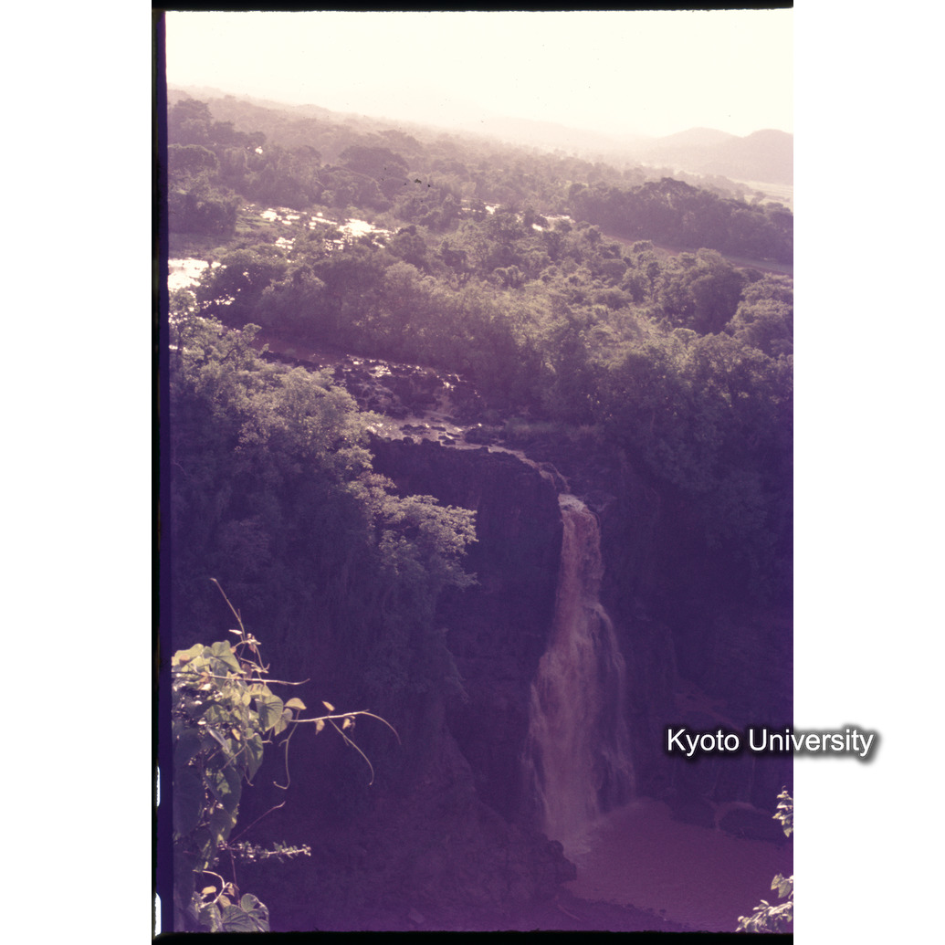 Sm　1973　1146 (1)